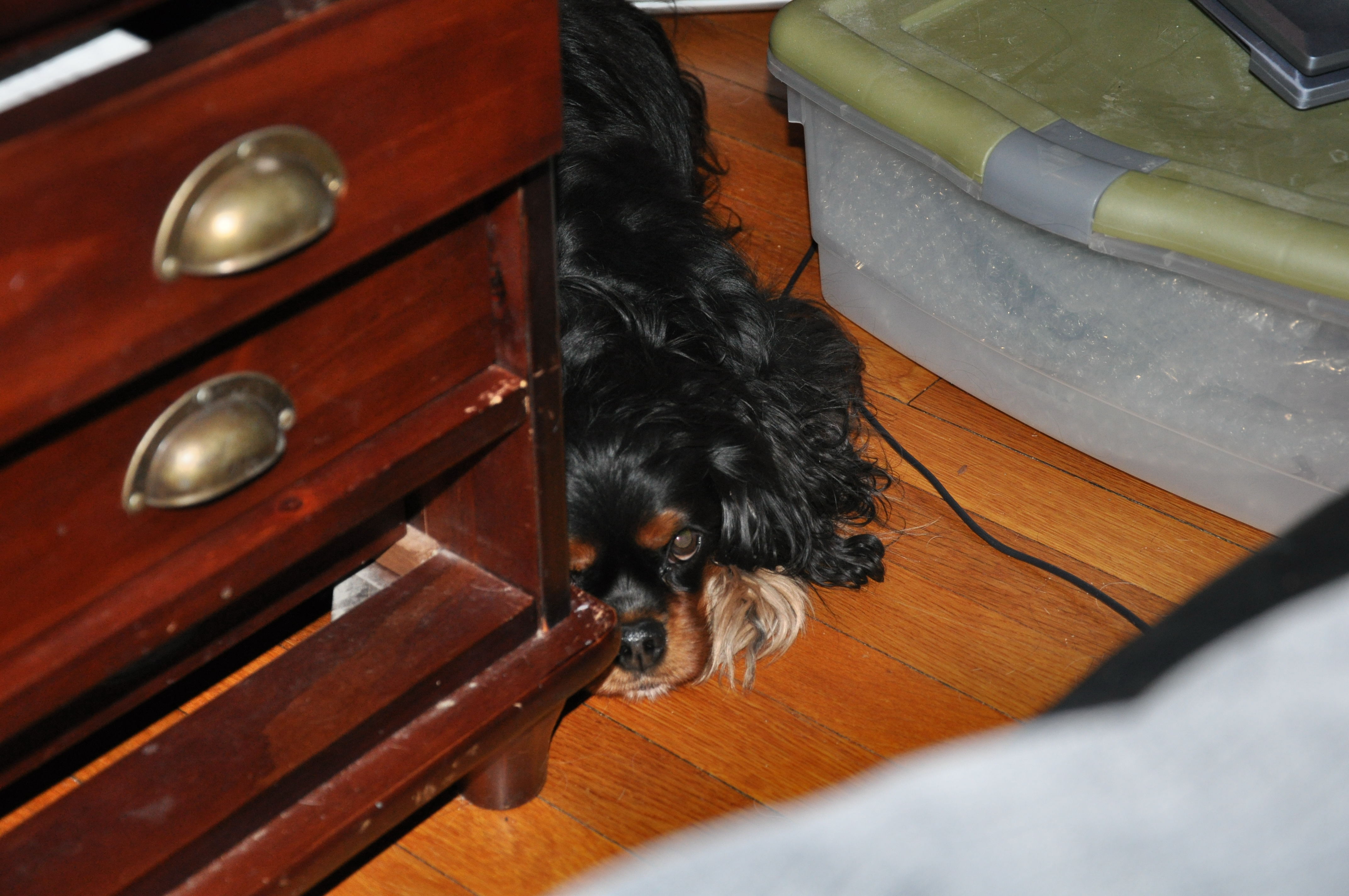 Sampson 068.jpg